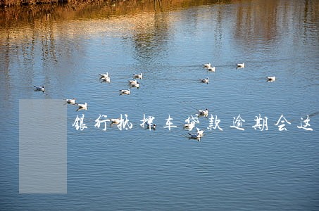 银行抵押车贷款逾期会这么样 银行抵押车贷款逾期会这么样