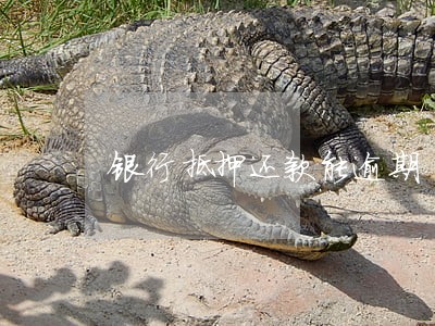 银行抵押还款能逾期