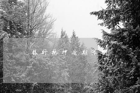 银行抵押逾期限制 银行抵押逾期限制
