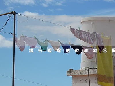 银行担保贷款逾期后果 银行担保贷款逾期后果