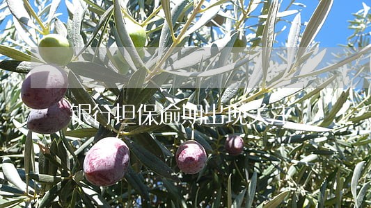 银行担保逾期出现关注 银行担保逾期出现关注