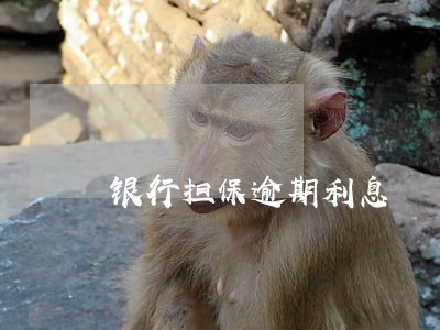 银行担保逾期利息