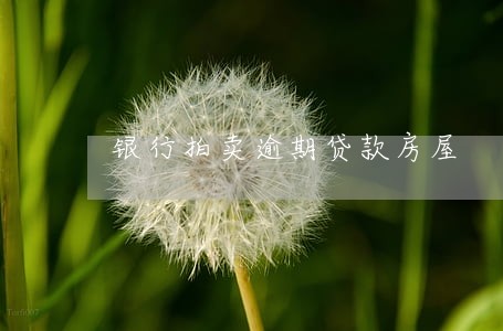 银行拍卖逾期贷款房屋 银行拍卖逾期贷款房屋