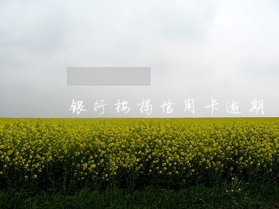 银行按揭信用卡逾期
