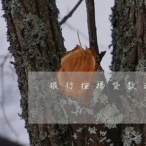 银行按揭贷款逾期三天 银行按揭贷款逾期三天