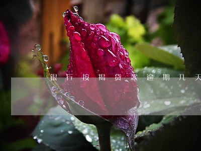 银行按揭贷款逾期几天征信 银行按揭贷款逾期几天征信