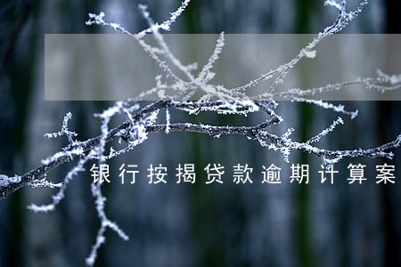 银行按揭贷款逾期计算案例 银行按揭贷款逾期计算案例