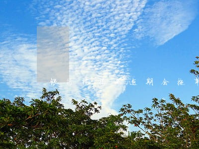银行按揭车逾期会拖车吗 银行按揭车逾期会拖车吗