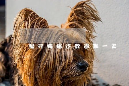 银行按揭还款逾期一天 银行按揭还款逾期一天