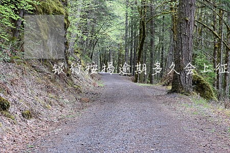 银行按揭逾期多久会上征信 银行按揭逾期多久会上征信