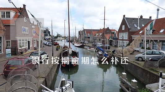 银行按揭逾期怎么补还 银行按揭逾期怎么补还