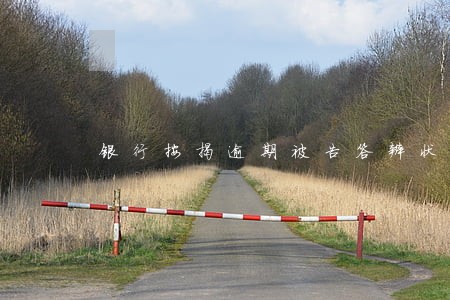 银行按揭逾期被告答辩状 银行按揭逾期被告答辩状