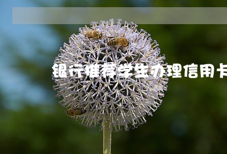 银行推荐学生办理信用卡导致逾期