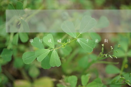 银行提醒信用卡逾期 银行提醒信用卡逾期