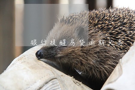 银行提醒房贷逾期义务 银行提醒房贷逾期义务