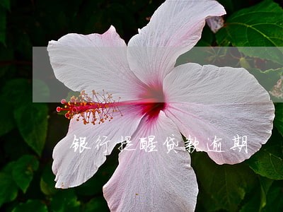 银行提醒贷款逾期 银行提醒贷款逾期