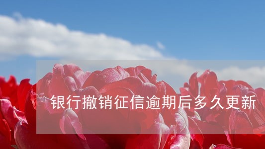 银行撤销征信逾期后多久更新 银行撤销征信逾期后多久更新