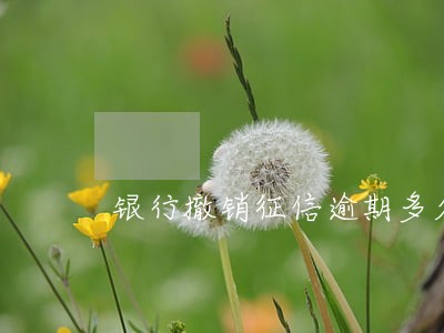 银行撤销征信逾期多久生效 银行撤销征信逾期多久生效