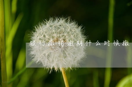 银行撤销逾期什么时候撤销 银行撤销逾期什么时候撤销