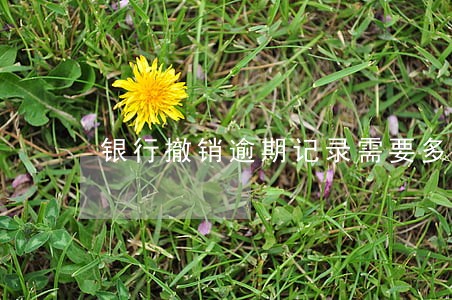 银行撤销逾期记录需要多少天 银行撤销逾期记录需要多少天
