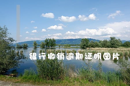 银行撤销逾期证明图片 银行撤销逾期证明图片