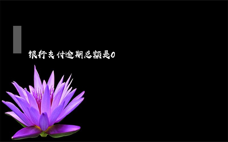 银行支付逾期总额是0 银行支付逾期总额是0
