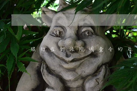 银行收到法院调查令的处理 银行收到法院调查令的处理