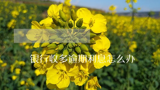 银行收多逾期利息怎么办 银行收多逾期利息怎么办