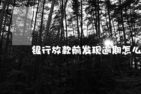 银行放款前发现逾期怎么办 银行放款前发现逾期怎么办