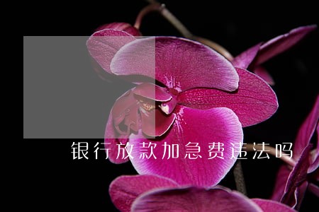 银行放款加急费违法吗 银行放款加急费违法吗
