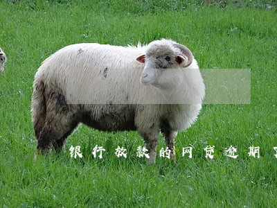 银行放款的网贷逾期了 银行放款的网贷逾期了