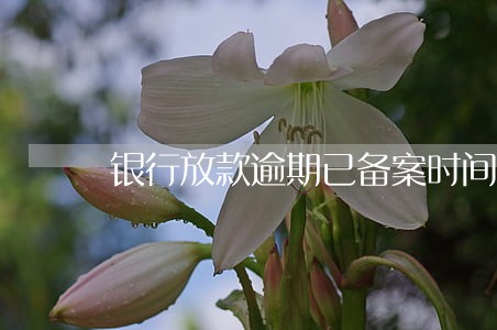 银行放款逾期已备案时间算吗 银行放款逾期已备案时间算吗