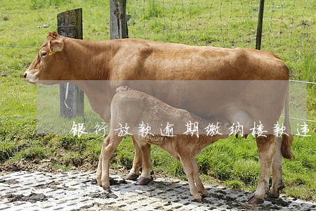 银行放款逾期缴纳楼款违约金