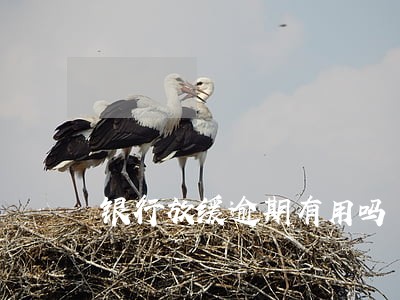 银行放缓逾期有用吗 银行放缓逾期有用吗