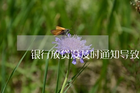 银行放贷没及时通知导致逾期 银行放贷没及时通知导致逾期