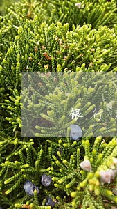 银行教育贷款逾期利息 银行教育贷款逾期利息