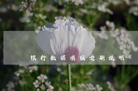 银行数据填报逾期说明 银行数据填报逾期说明