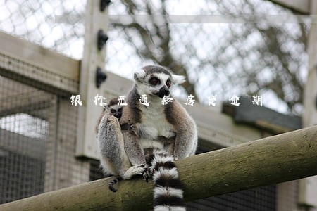 银行无通知房贷逾期 银行无通知房贷逾期