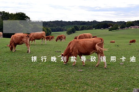 银行晚划款导致信用卡逾期 银行晚划款导致信用卡逾期