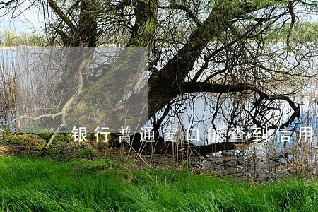 银行普通窗口能查到信用卡逾期吗 银行普通窗口能查到信用卡逾期吗