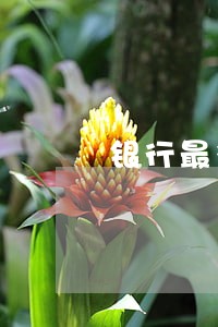 银行最多能查到多久的逾期记录 银行最多能查到多久的逾期记录