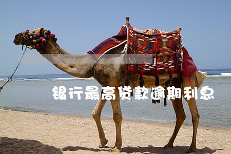 银行最高贷款逾期利息 银行最高贷款逾期利息
