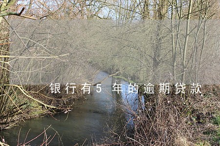 银行有5年的逾期贷款 银行有5年的逾期贷款