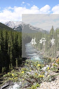 银行有一次逾期怎么处理 银行有一次逾期怎么处理