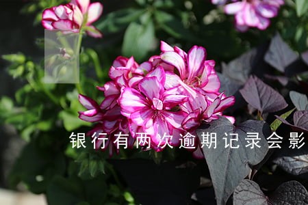 银行有两次逾期记录会影响车贷 银行有两次逾期记录会影响车贷