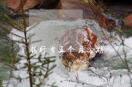 银行有五个月逾期 银行有五个月逾期
