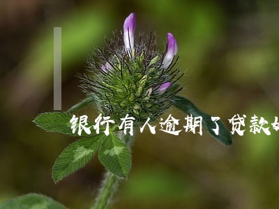 银行有人逾期了贷款好贷吗 银行有人逾期了贷款好贷吗