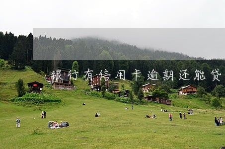 银行有信用卡逾期还能贷款吗 银行有信用卡逾期还能贷款吗