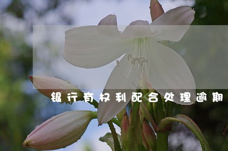 银行有权利配合处理逾期么 银行有权利配合处理逾期么
