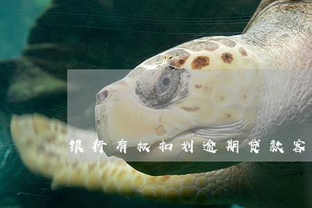 银行有权扣划逾期贷款客户账户 银行有权扣划逾期贷款客户账户